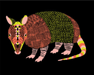 Armadillo_Print
