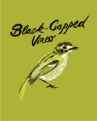 BlackCap_Print