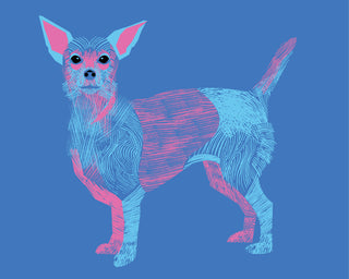 Chihuaua_Print