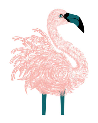 Flamingo