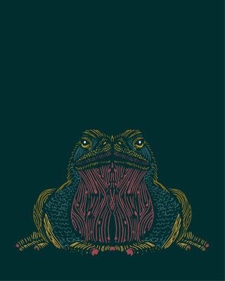 Toad_Print