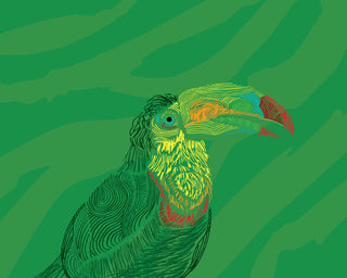 Toucan_Print