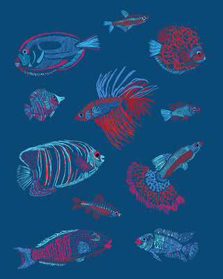 Tropical_Fish