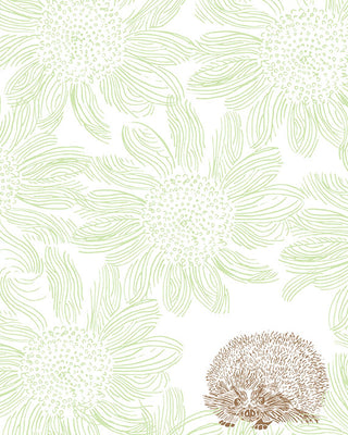 Hedgehog