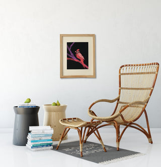 Cardinal bird art