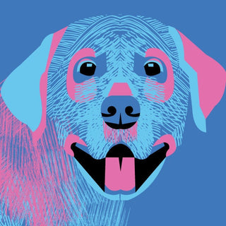 Extra large Labrador Wall Art, Set of 4