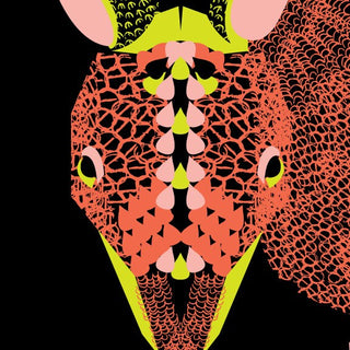 Armadillo Art Print