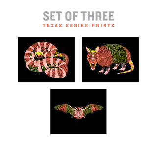 Southwestern Texas Animal Art Prints - Set of 3