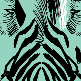 Zebra Art Print