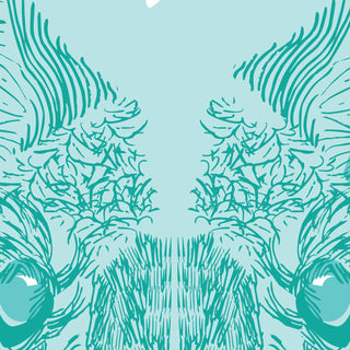 Kangaroo Art Print