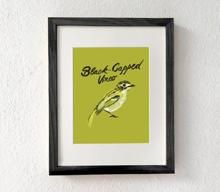 Black Capped Vireo Bird Art Print
