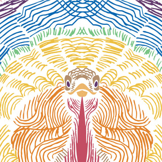 Colorful Turkey Art Print