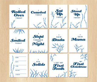 Printable Fish Baby Milestone Cards