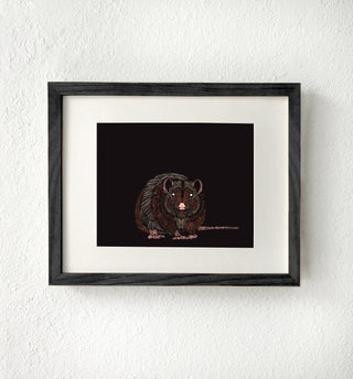 Rat Art Print